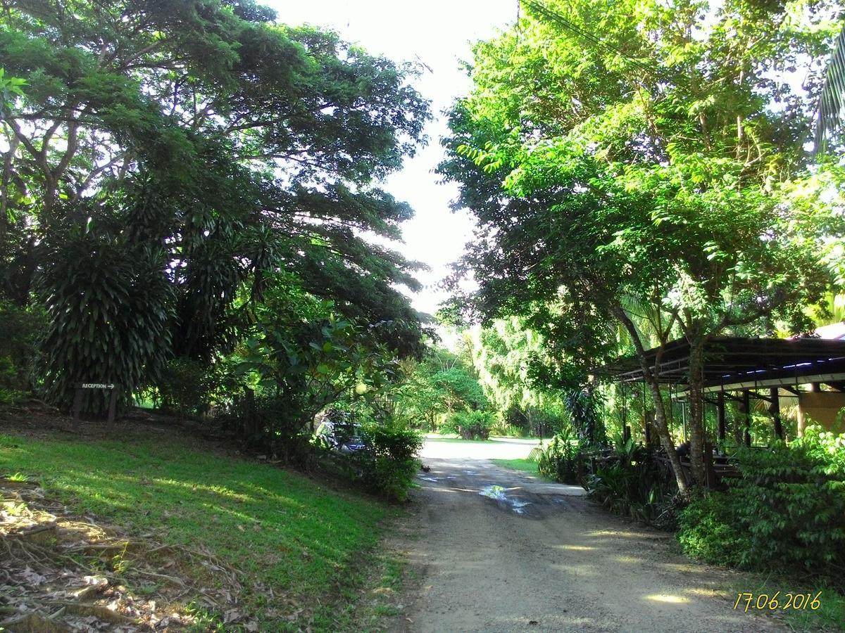 Sepilok B&B Exterior photo